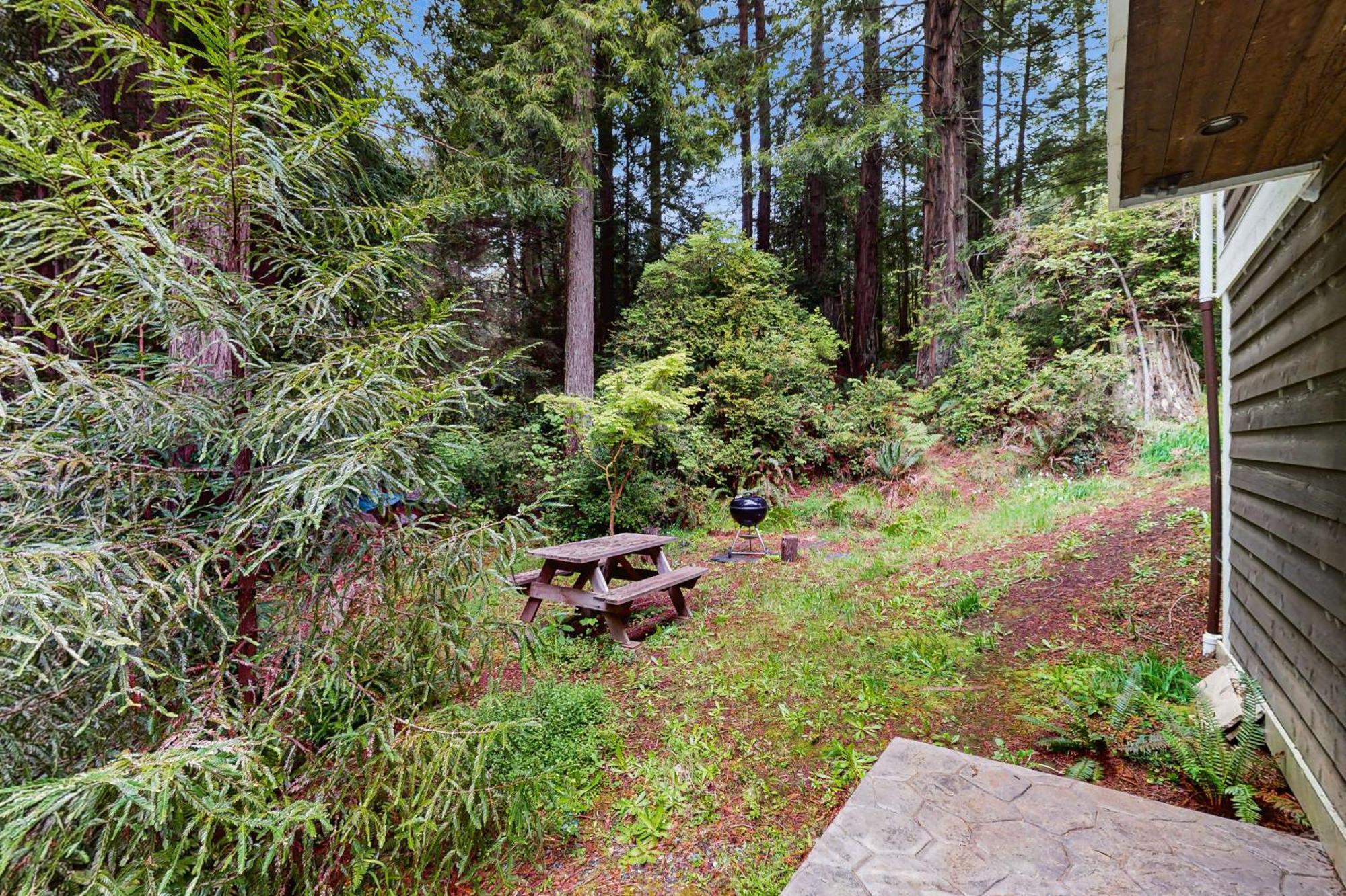 Serene Redwood Retreat Арката Екстер'єр фото