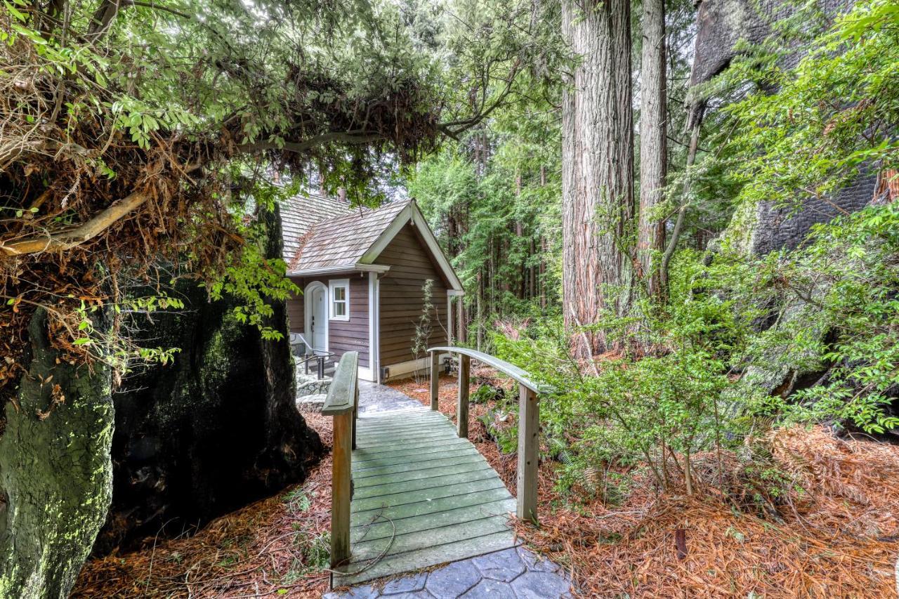 Serene Redwood Retreat Арката Екстер'єр фото